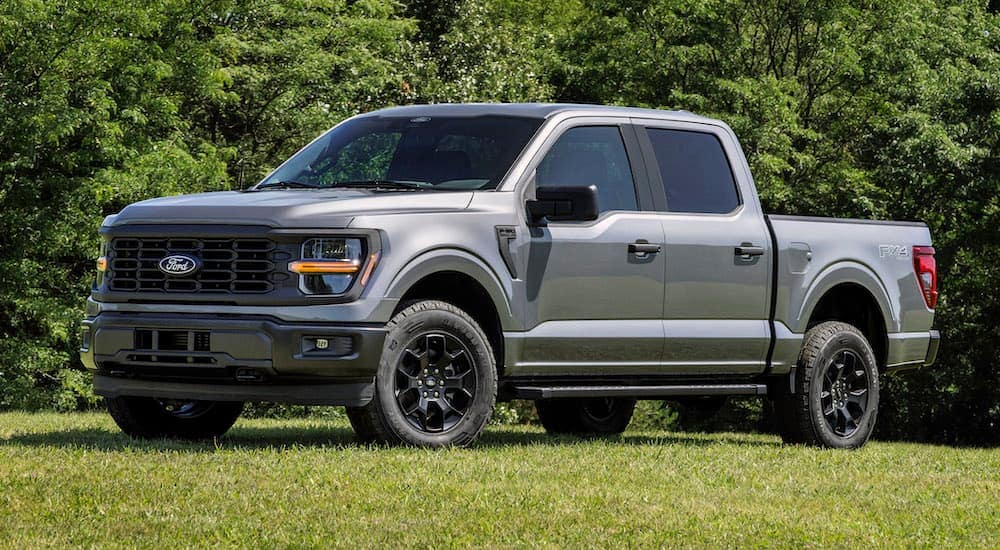 F-150 5.0 COYOTE (2024-2025)