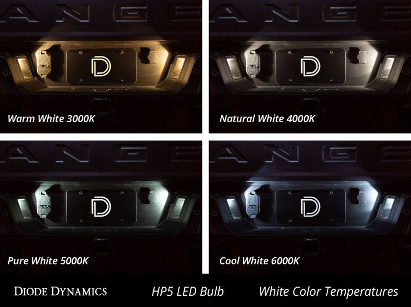 Diode Dynamics 194 LED Bulb HP5 LED - Amber Set of 12