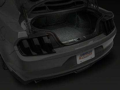 Raxiom15-23 Ford Mustang Axial Series Stage 2 Interior LED Lighting Kit- Cool White