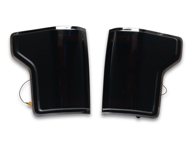 Raxiom15-20 Ford F-150 LDS Series LED Tail Lights- Black Housing- Clear Lens