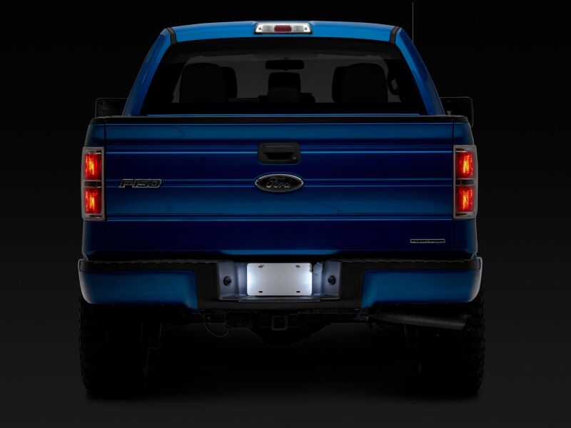 Raxiom 97-14 Ford F150 Axial Series LED License Plate Lamps