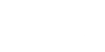 Turbo XS 300ZX Type H BOV Kit