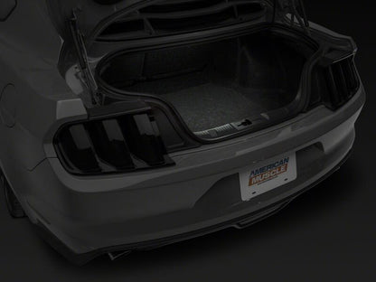 Raxiom 15-23 Ford Mustang Axial Series Stage 1 Interior LED Lighting Kit- Cool White