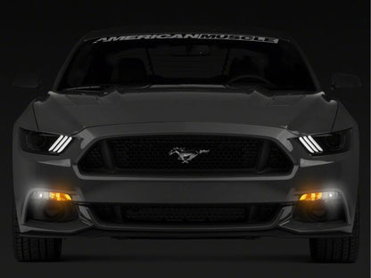 Raxiom 15-17 Ford Mustang Axial Series Switchback Turn Signal Conversion Kit