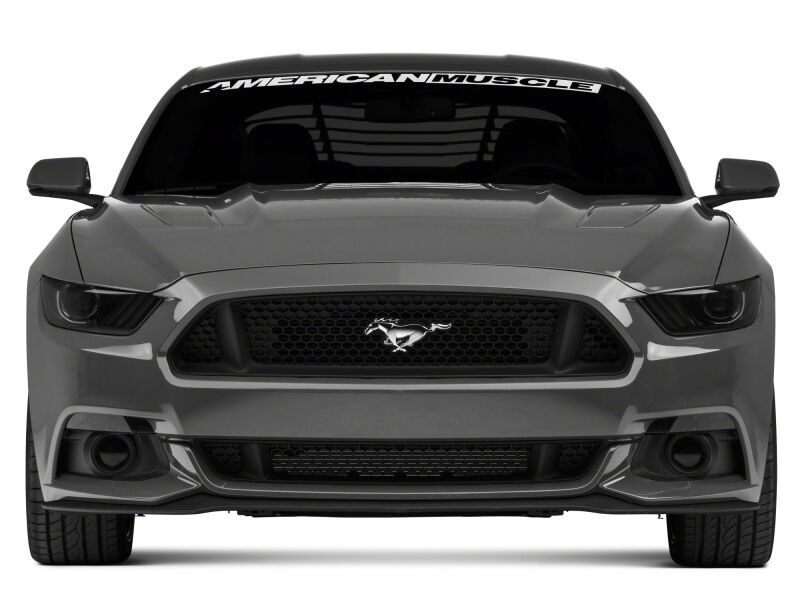 Raxiom 15-17 Ford Mustang Axial Series Switchback Turn Signal Conversion Kit