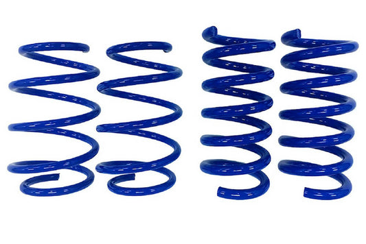 Steeda Mustang GT Drag Springs - Linear (2015-2024)