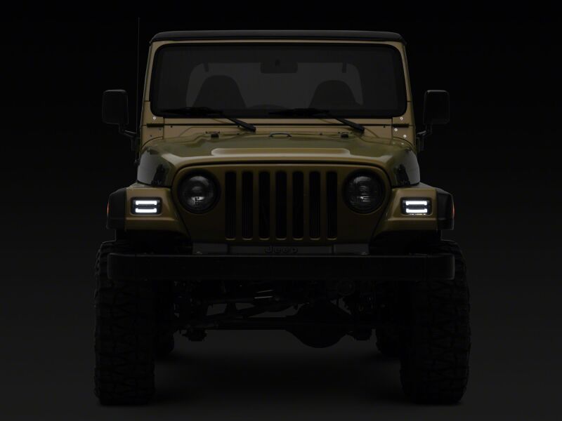 Raxiom 97-06 Jeep Wrangler TJ Axial Series LED Sequential Cornering Lights- Smoked