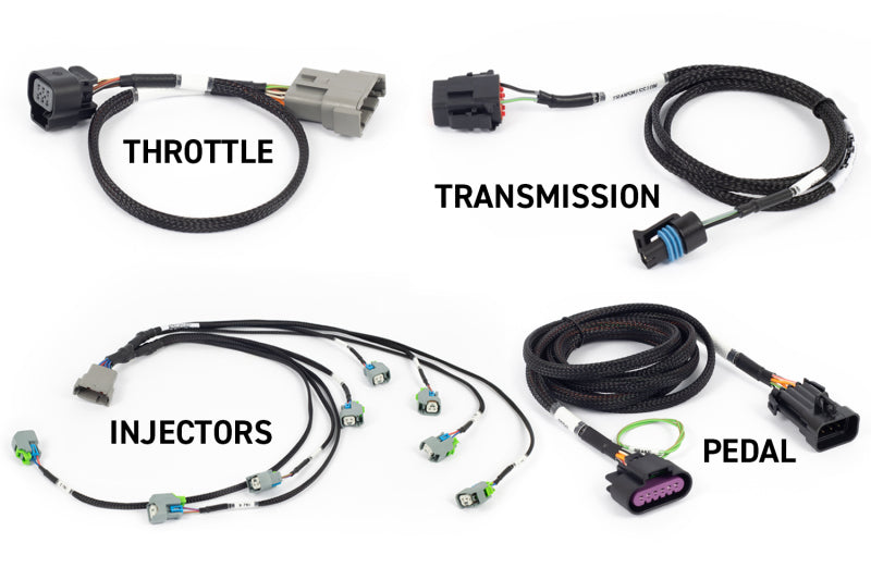 Haltech NEXUS Rebel LS Gen IV 6-Pin DBW Throttle/EV6 Injectors/Manual Transmission